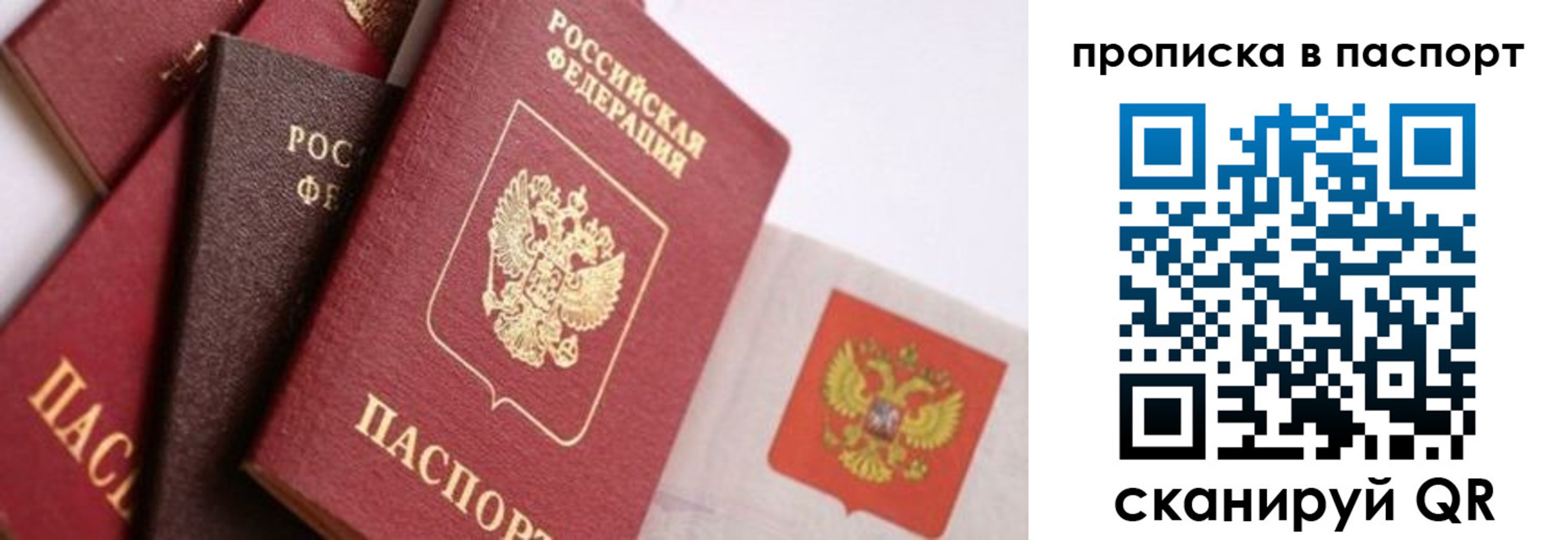 регистрация для школы в Лосино-Петровском