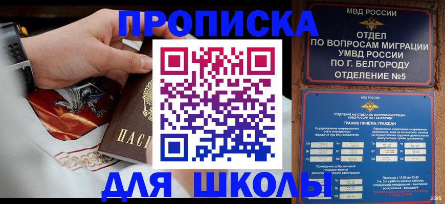 пропишу в квартире в Лосино-Петровском